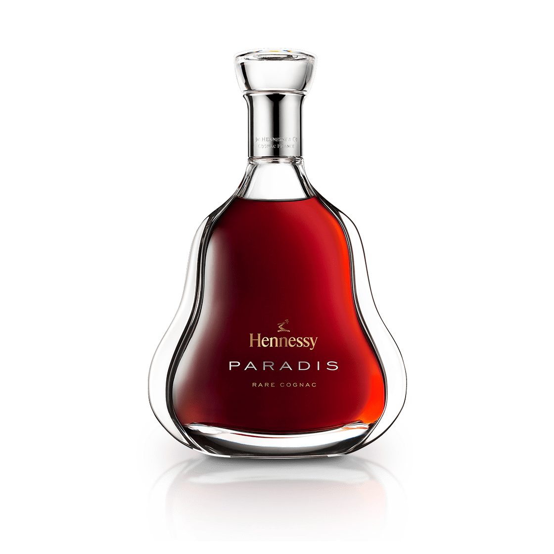 hennessy paradis