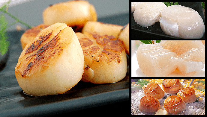 happy tuesday 北海道刺身带子 巨无霸 10-16只 (500g) 解冻即食 - bo