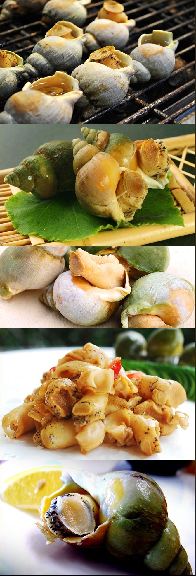 加拿大翡翠螺l (约4-6只入 约500g) - boatat food