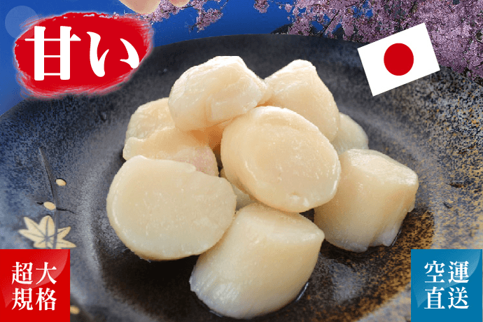 北海道刺身带子 巨无霸 10-16只 500g 解冻即食 来自日本北海道的绵密